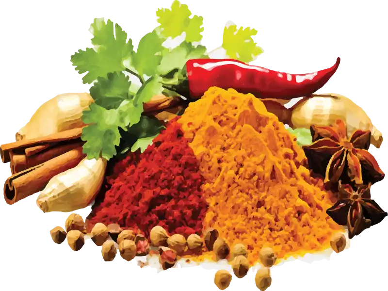 Masala (মসলা কম্বো)
